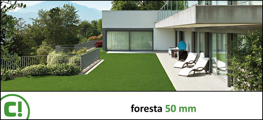 Display_Foresta 50mm