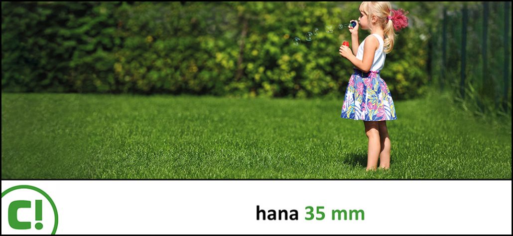 Display_Hana 35mm