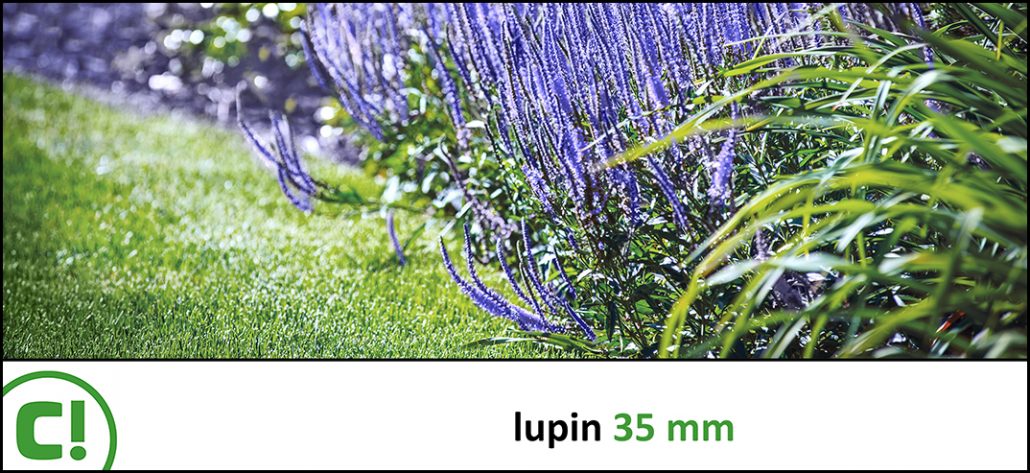 Display_Lupin_35mm