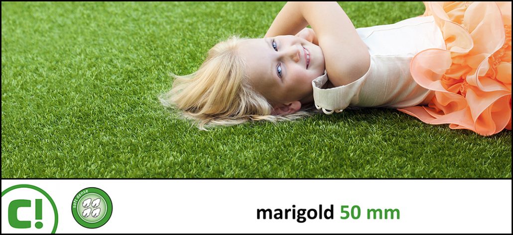 Display_Marigold 50mm