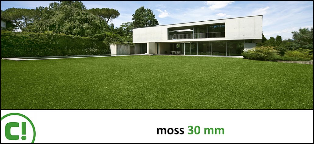 Display_Moss 30mm