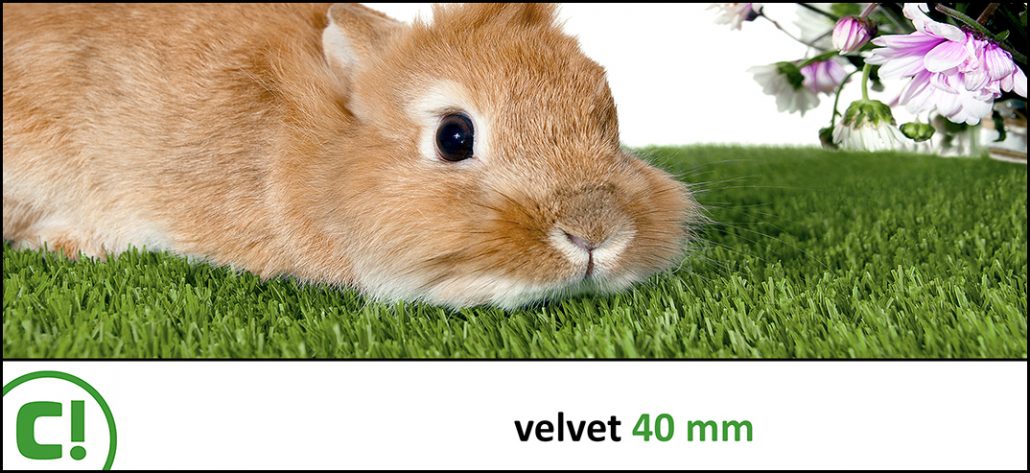 Display_Velvet 40mm