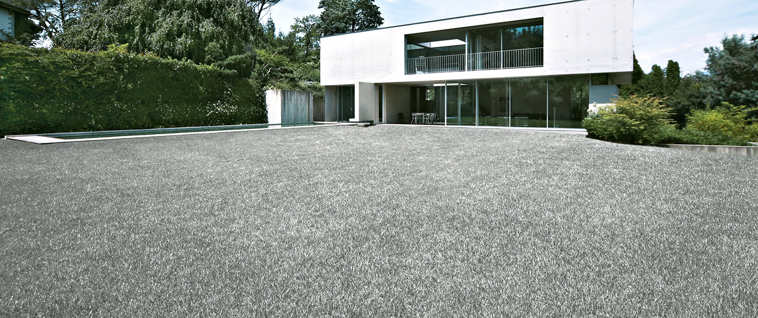 03_WoC_Landschaft Gras_silbergrau