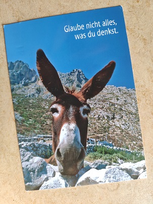 Postkarte mit einem Esel