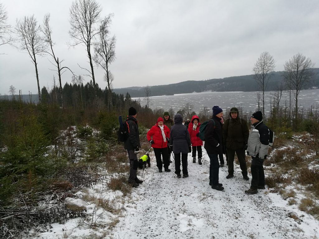 Vandringen började brant uppför på en frusen skogsbilväg. Vackra vyer över Tenhultasjön i bakgrunden.