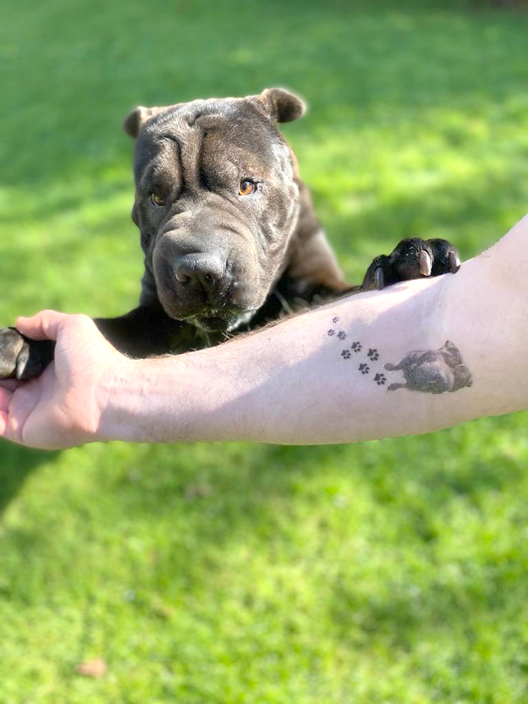 Dogs Temporary Tattoos  Paper Goods  boogie  birdie