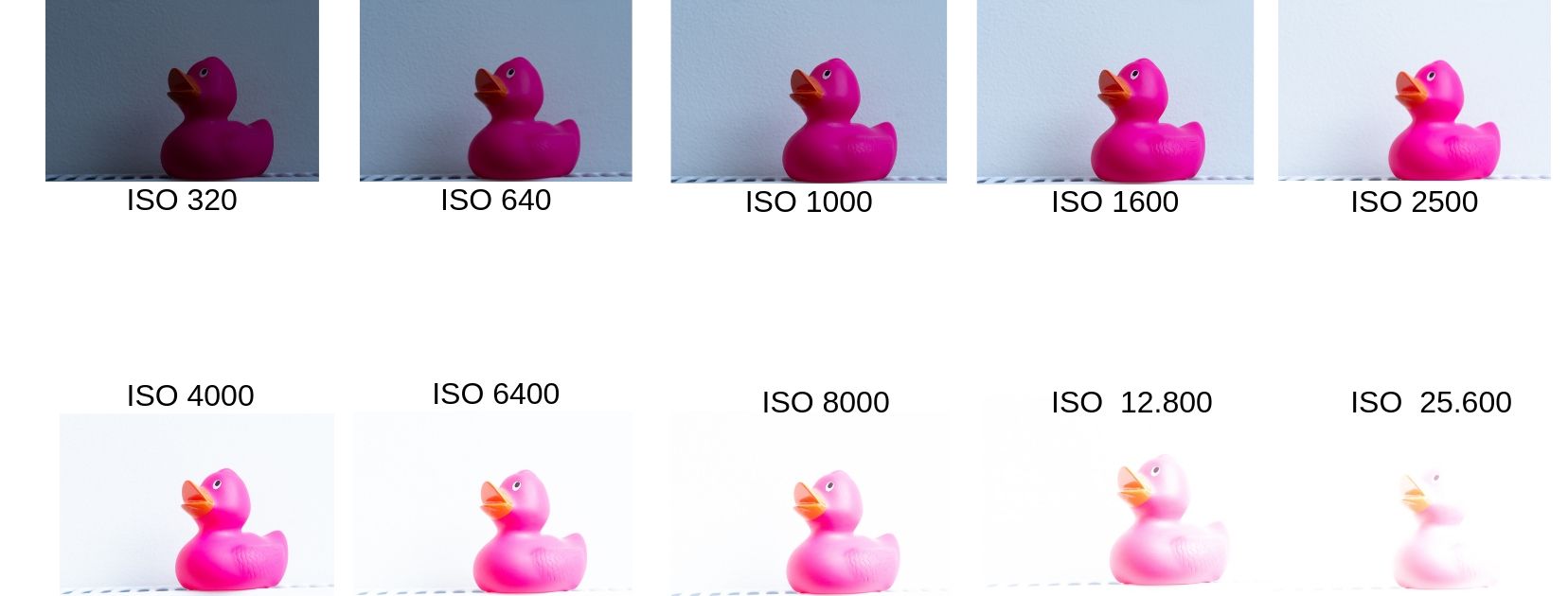 fotografie basis ISO