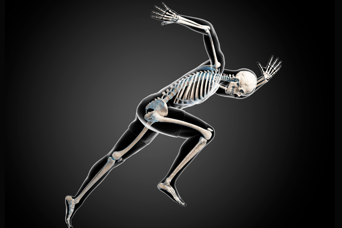 Biomechanics: Basic Human Analysis Biomechanics: Basic Human Analysis