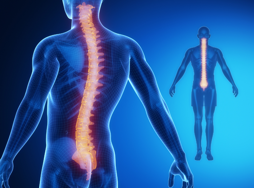 Biomechanics: Basic Human Analysis Biomechanics: Basic Human Analysis