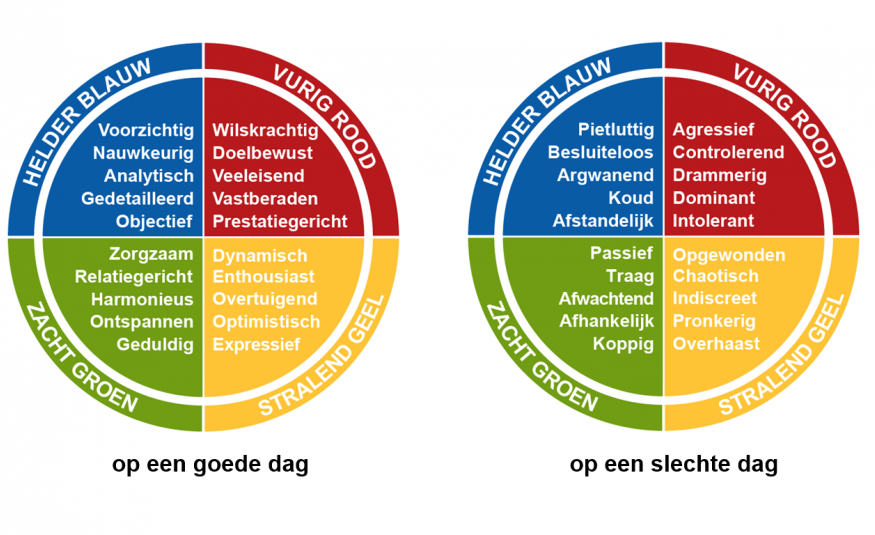 Insights Discovery 4 kleuren