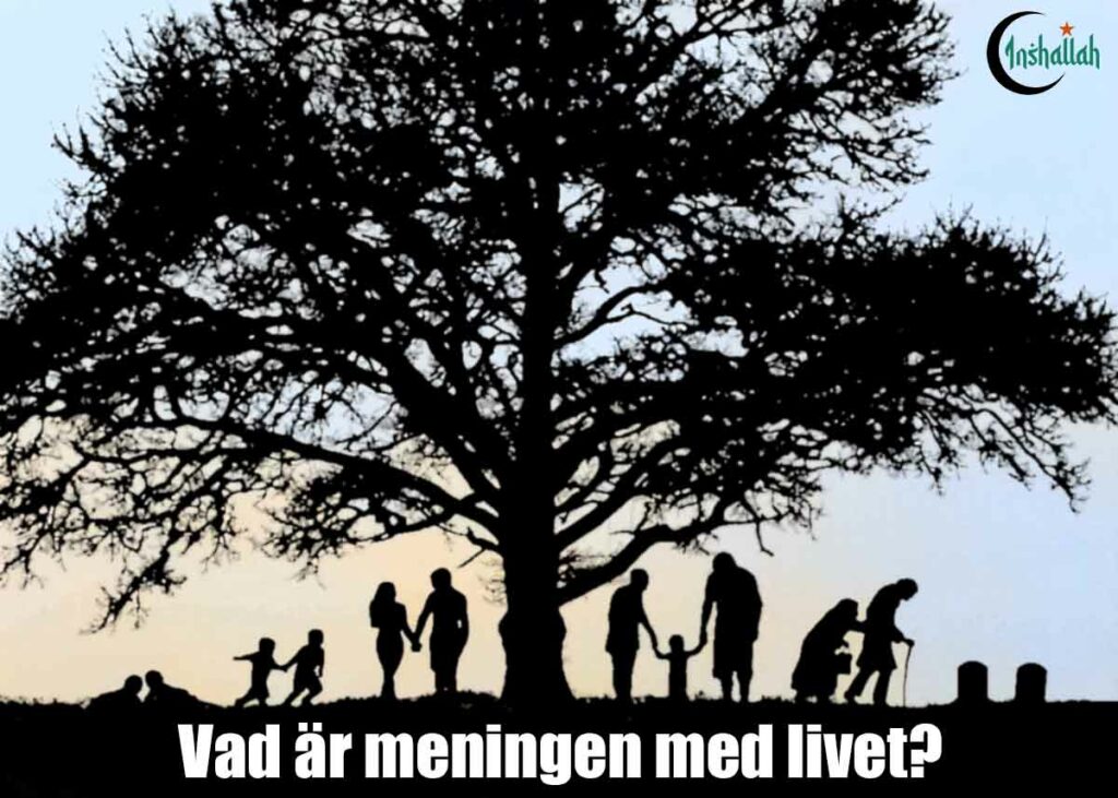 Bild visande ett par i olika skaden i livet. Från att de är små bebisar, blir förälskade, bildar familj, blir gamla och slutligen visas två gravstenar.