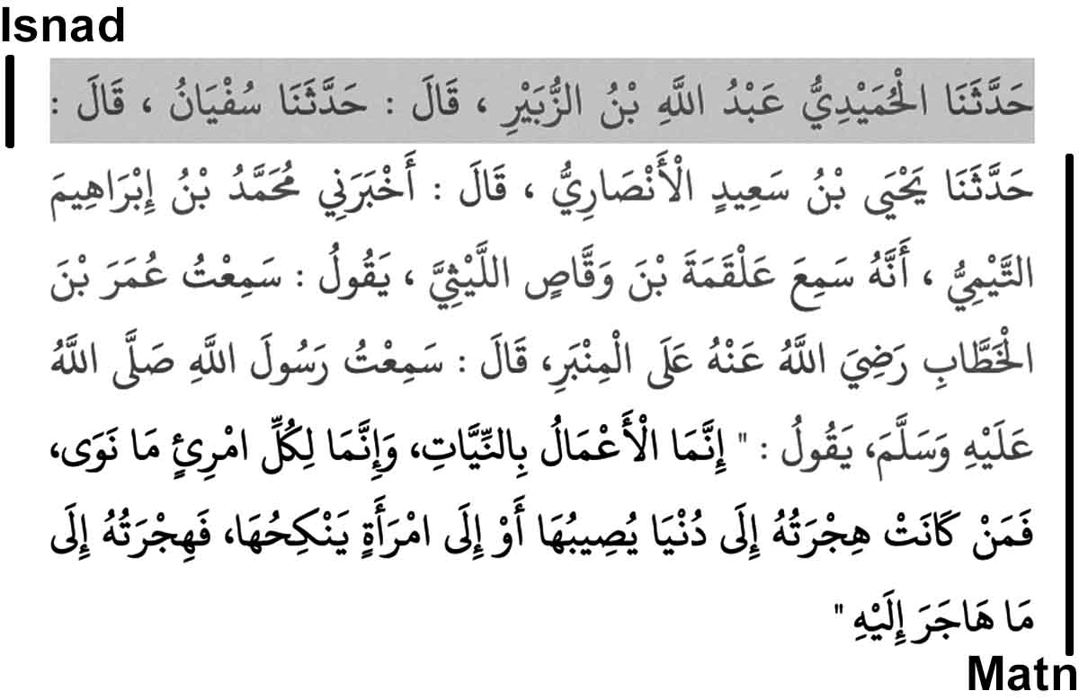 Avbildning av hadith med Isnad och Matn markerade.