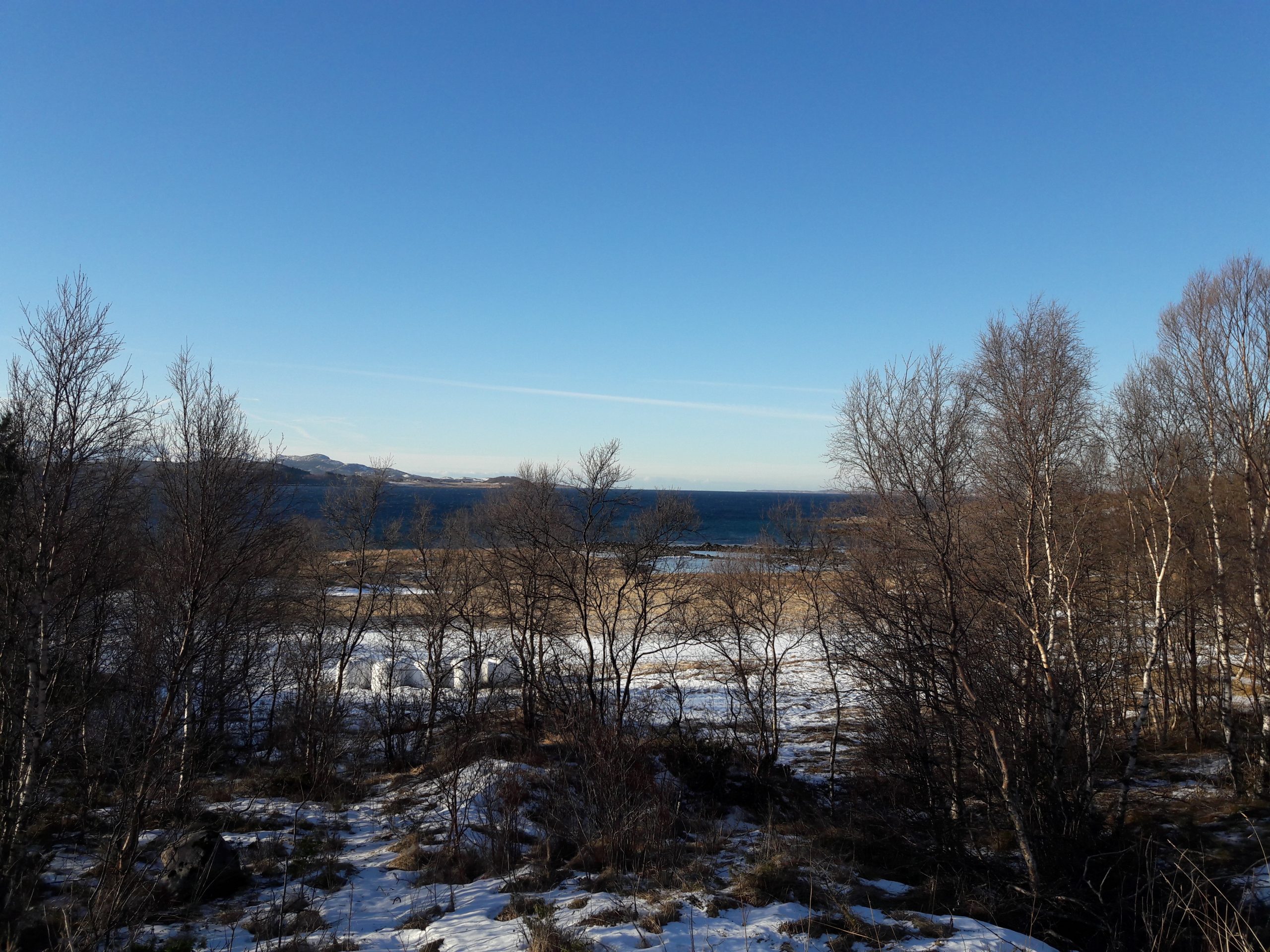 Colours in the winter landscape in the northern part of Norway.