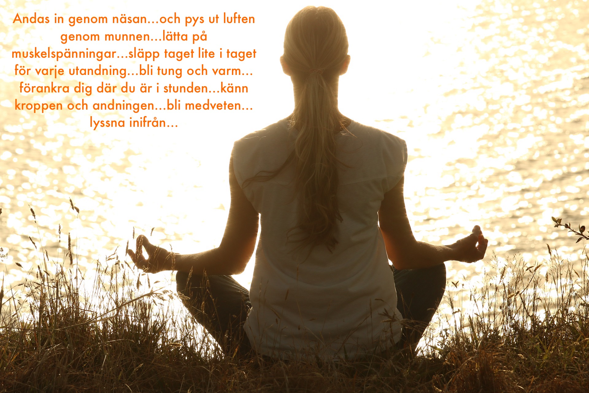 meditate-g48d9c4f8f_1920