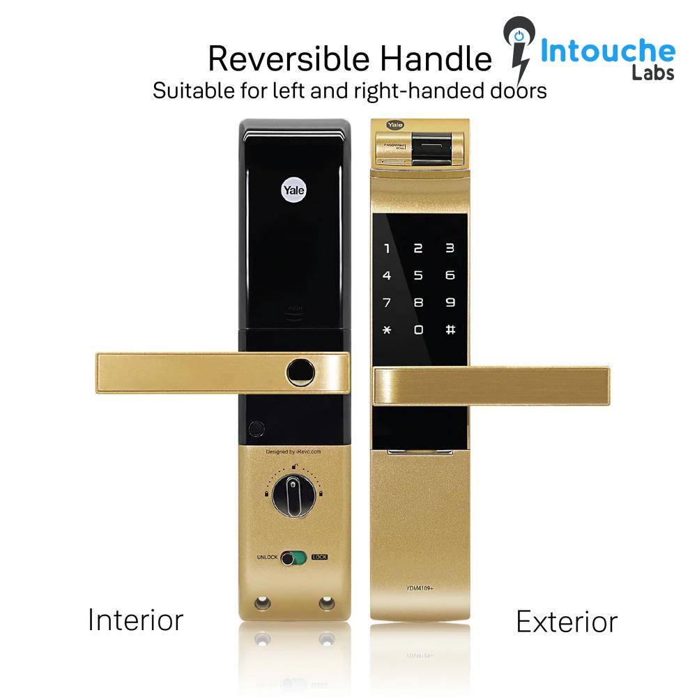 YDM 4109- A Series, Biometric Smart Lock, Gold - Image 5