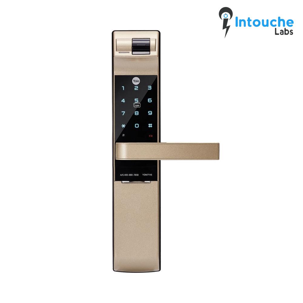 YDM 7116A Smart Lock, Champagne Gold