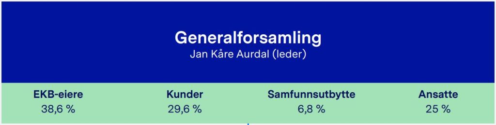 Viser eierrepresentasjon for egenkapitalbevis i sparebank