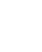 Key icon