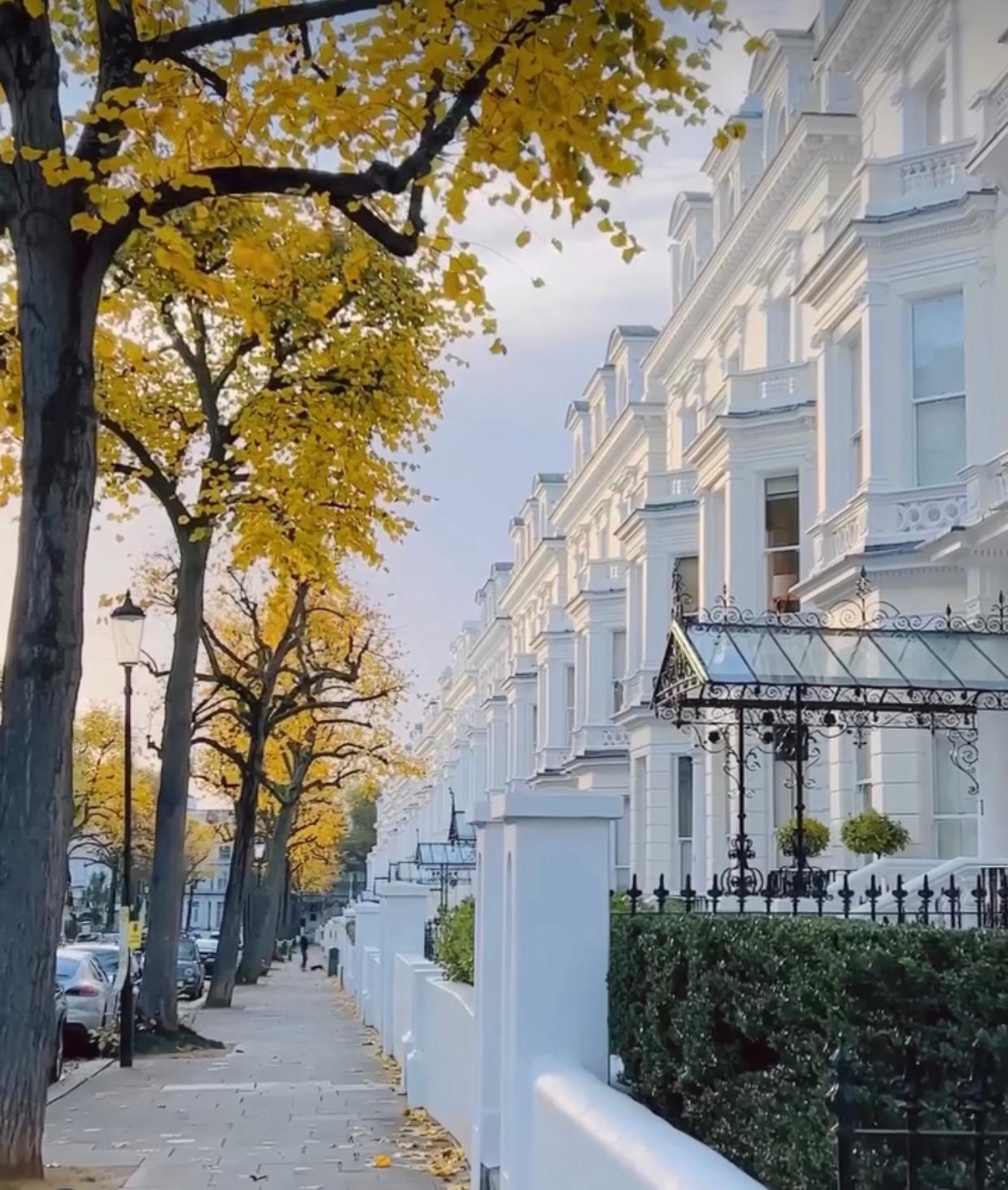 surveyor in Wimbledon