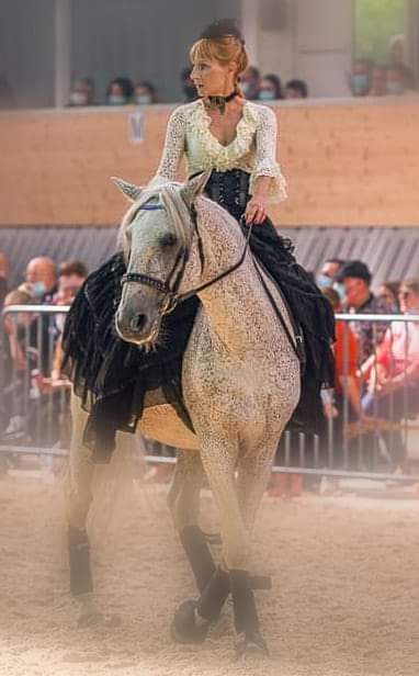 Isab'ailes cheval massages