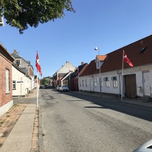 Fødselsdagsfejring