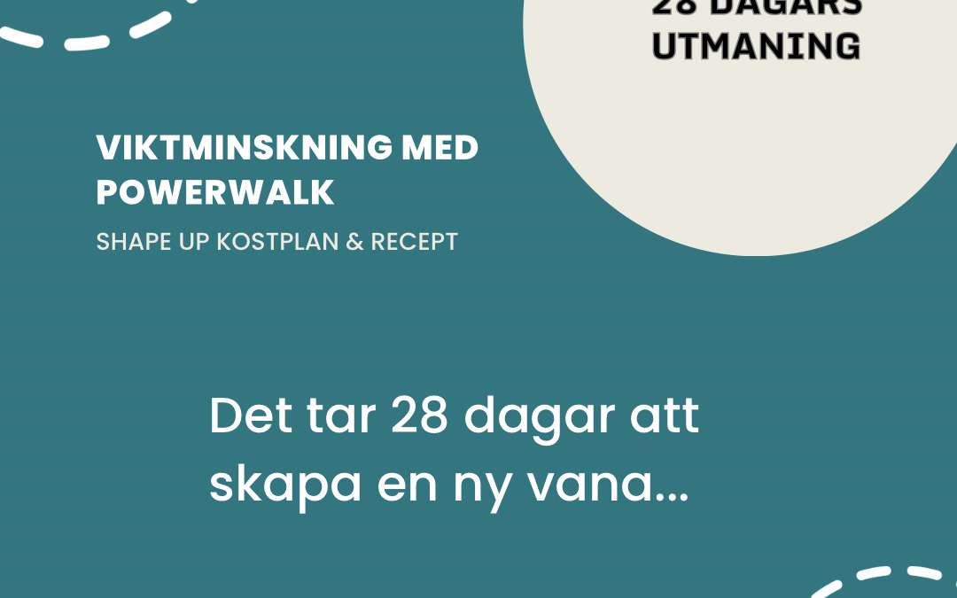 28 dagars utmaning – VIKTMINSKNING…