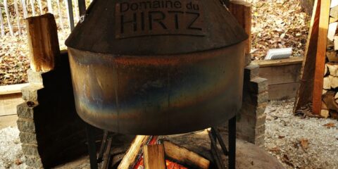 Au domaine du Hirtz