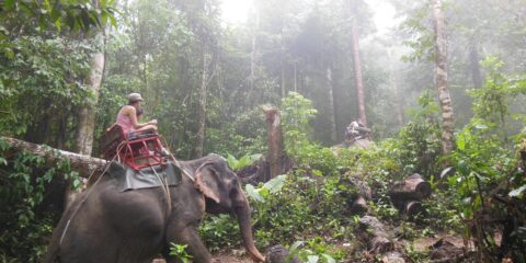 Khao Sok