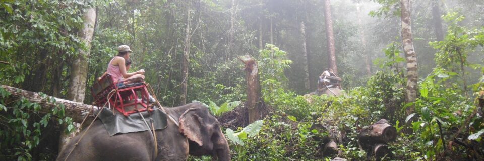 Khao Sok