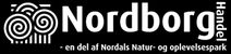 logo 40