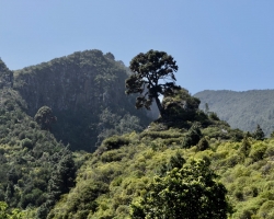 Caldera de Taburiente