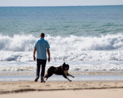 Man, hund, hav och sand. Ja, ni fattar va?