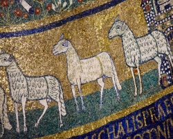I den heliga Cecilias kyrka finns de här mosaikerna. Bara några hundra år e Kr gjordes de. Kristendomen var ny.