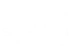 OFFICIAL SELECTION - KALAKARI FILM FESTIVAL BY RISHI NIKAM - 2020