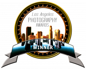 Winner LA Photography Awards