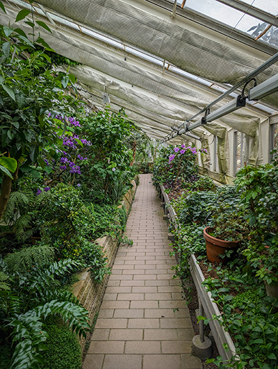 a walk in the greenhouse
