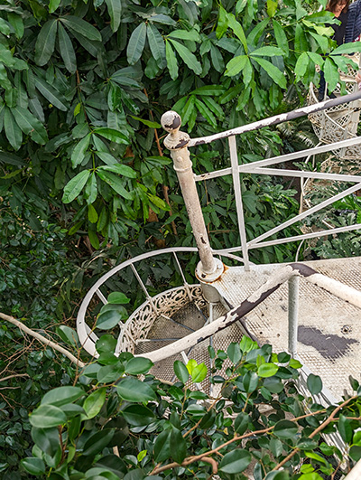 staircase in the greenhouse