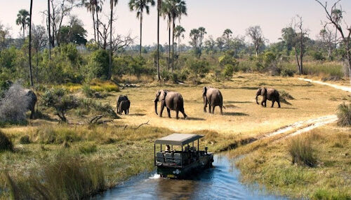 elephants at Pian-upe