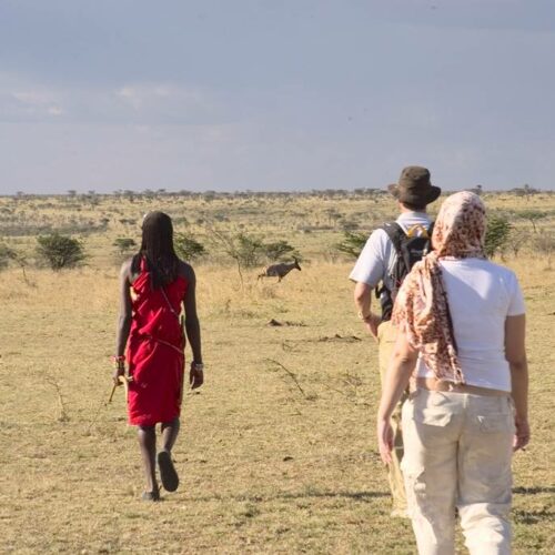 Maasai guide leading tourists