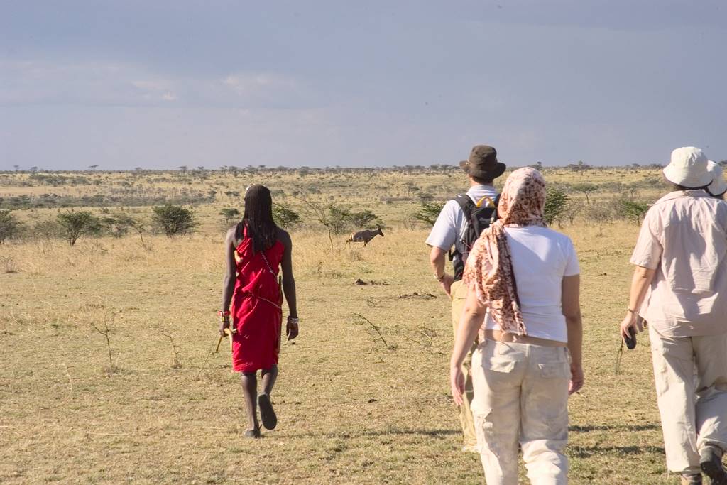 Maasai guide leading tourists