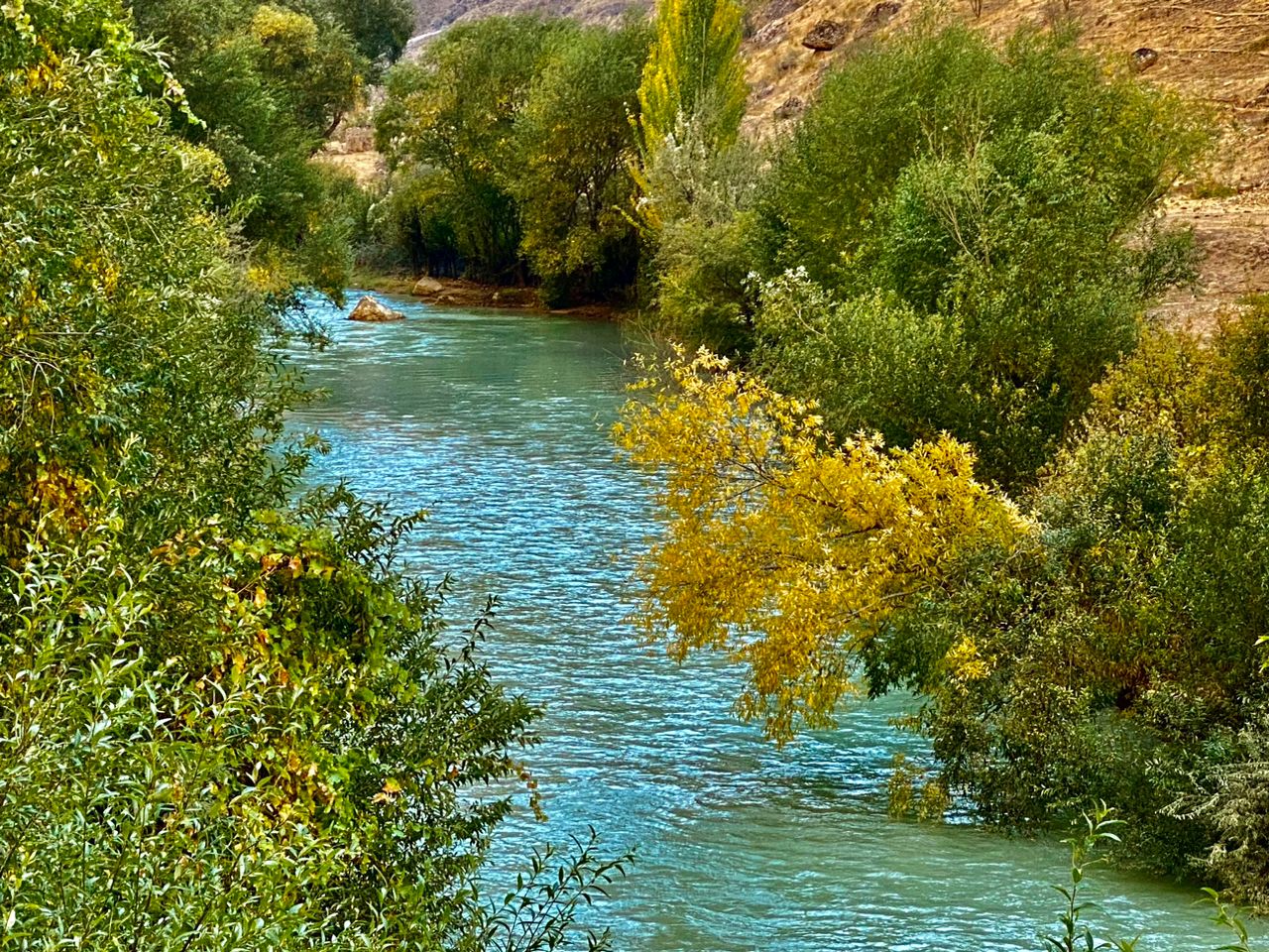 سفر به سوی روستای پای بیشه ولسوالی چارسده ولایت غور