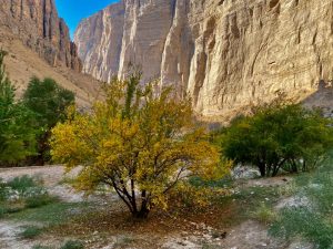 سفر به سوی روستای پای بیشه ولسوالی چارسده ولایت غور