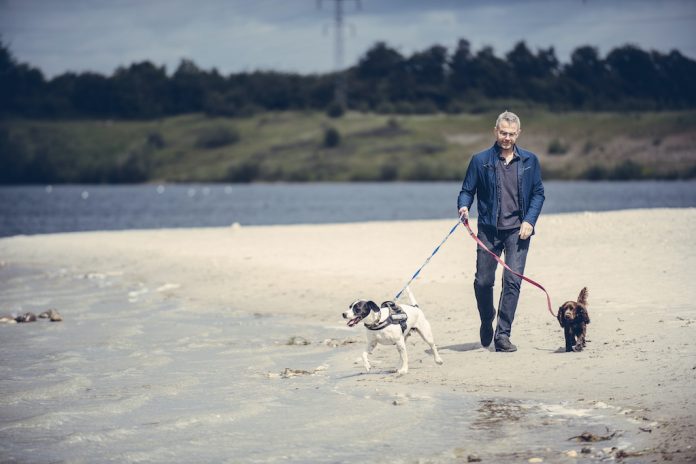 Hunde på stranden