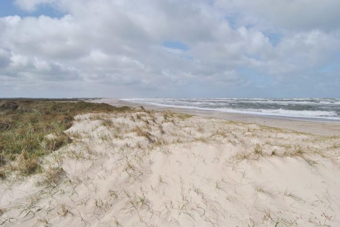Stort fokus på strandrensning har medført rene strande i Jammerbugten. Her er det stranden vest for Svinklovene. Foto: Jammerbugt Kommune