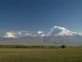 ararat-web-jpg