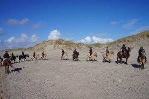 heste strand