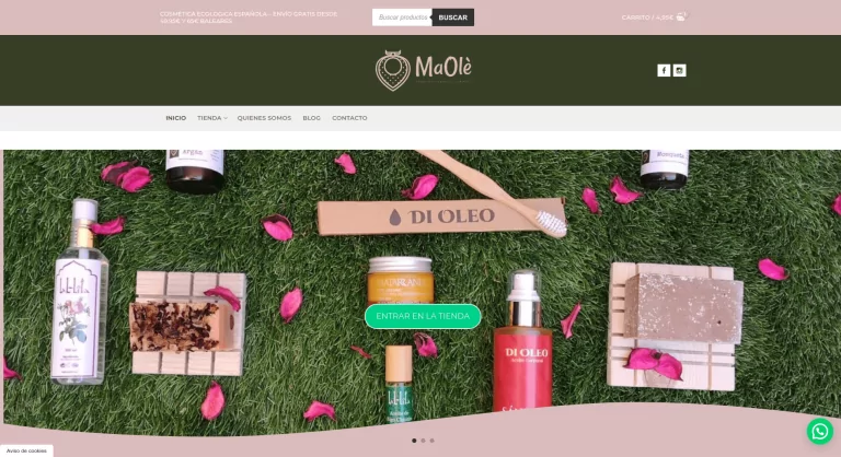 Diseño de tiendas online Mérida