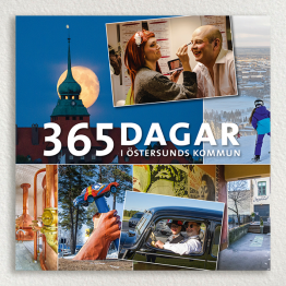 365 dagar i Östersunds kommun