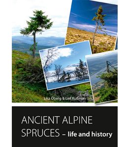 Ancient alpine spruces – life and history. Cover image.
