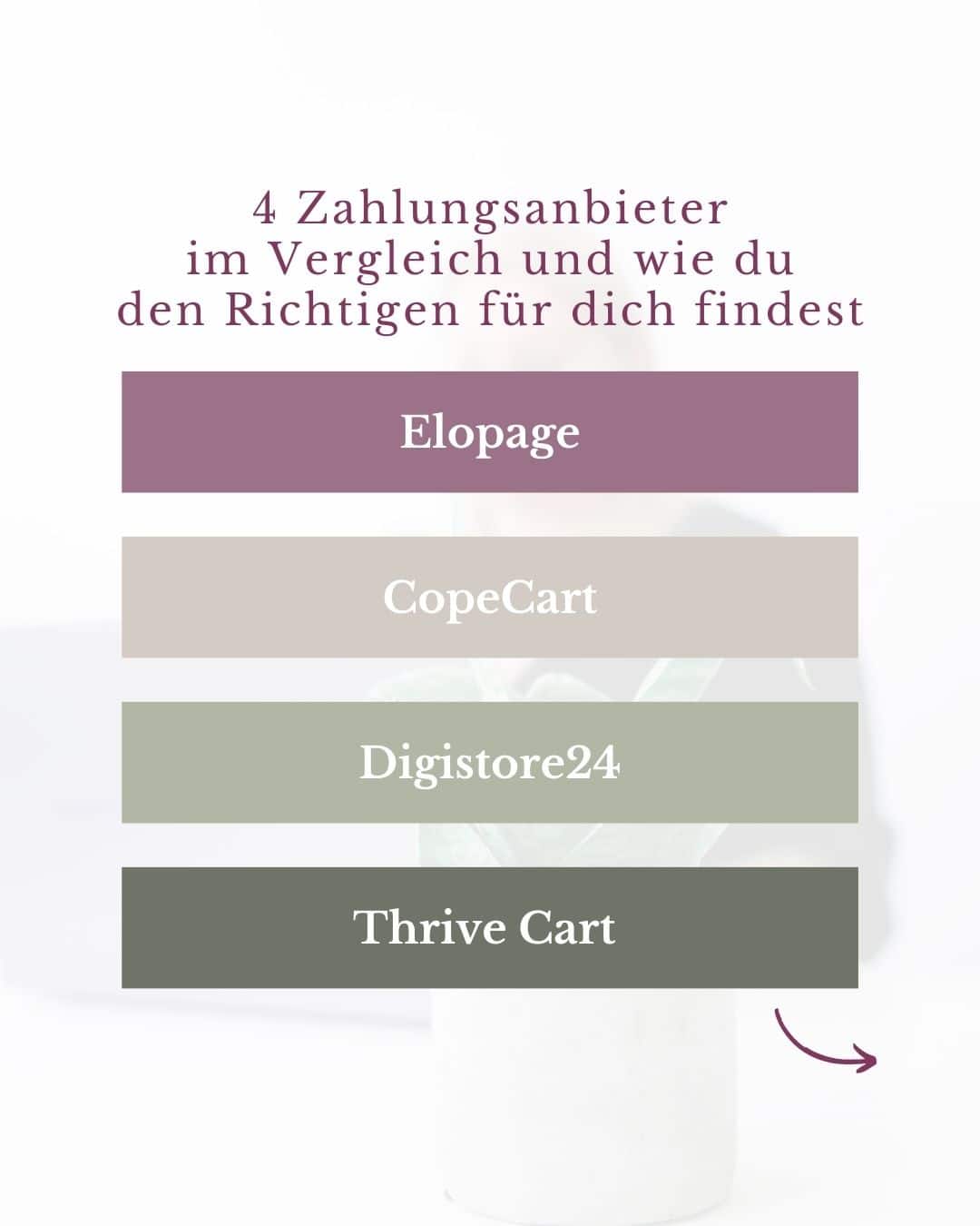 4 Zahlungsanbieter im Vergleich und wie du den Richtigen für dich findest